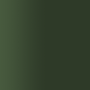 TOUCH UP PAINT PEN RAL 6020 CHROMOXYDGRUEN