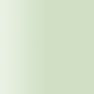 TOUCH UP PAINT PEN RAL 6019 WEISSGRUEN