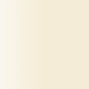 TOUCH UP PAINT PEN AUDI Z1Z PERLBEIGE 2002-2005