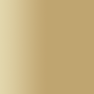 TOUCH UP PAINT PEN AUDI LX1V SAKHIRGOLD 2022-