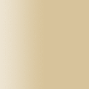 TOUCH UP PAINT PEN AUDI LZ1W SIAMBEIGE 2016-