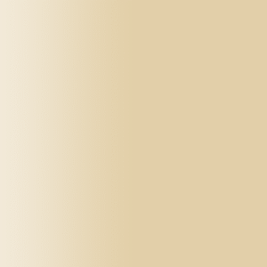 TOUCH UP PAINT PEN AUDI LY1Q DAKARBEIGE 2003-2013