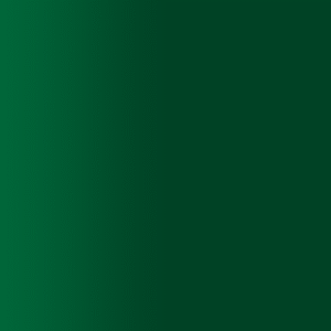 TOUCH UP PAINT PEN PORSCHE PR0 PORSCHE RACING GREEN MET 2021-22