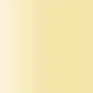 TOUCH UP PAINT PEN PORSCHE N1G VANILLA 1998-01