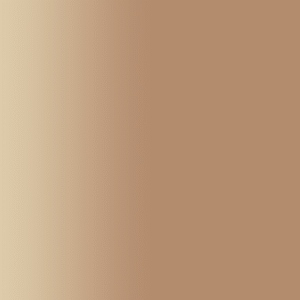 TOUCH UP PAINT PEN PORSCHE E3V TAUPE 1979-84