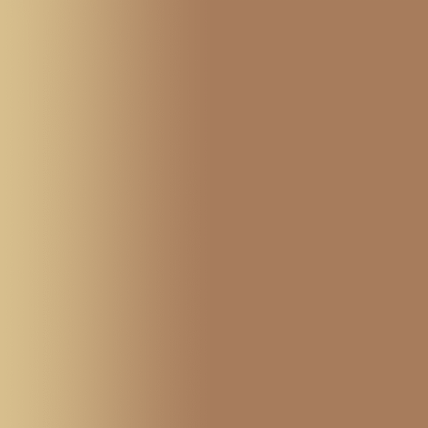 TOUCH UP PAINT PEN PORSCHE 14R BRAUNGELB 1990-