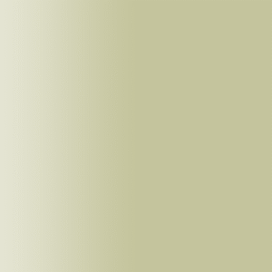 TOUCH UP PAINT PEN PORSCHE 367 GRUNBEIGE 1990-
