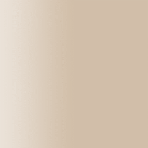 TOUCH UP PAINT PEN PORSCHE K2V CAME 1993-98