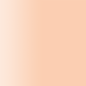 TOUCH UP PAINT PEN PORSCHE D2A APRICOT 1995-97