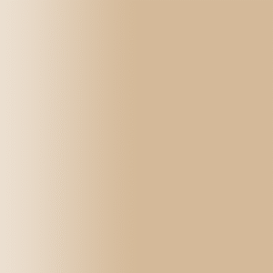 TOUCH UP PAINT PEN PORSCHE Y1X CANVASBEIGE 2000-