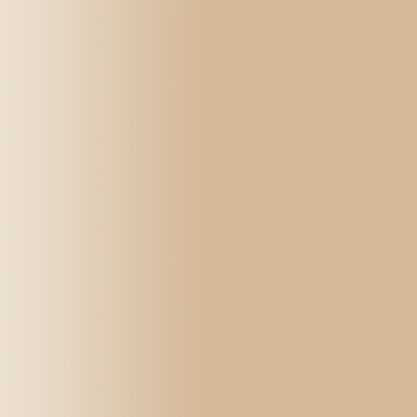 TOUCH UP PAINT PEN PORSCHE Y1X CANVASBEIGE 2000-