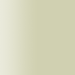 TOUCH UP PAINT PEN PORSCHE R100 GRUNBEIGE 2001-