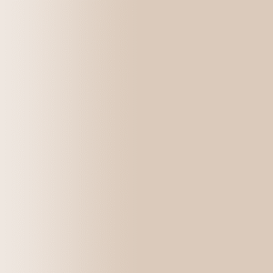 TOUCH UP PAINT PEN PORSCHE Y1W ALPAKABEIGE 2001-