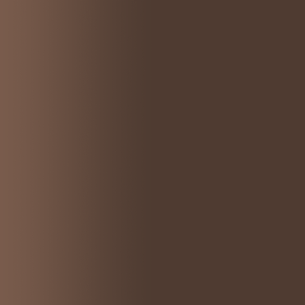 TOUCH UP PAINT PEN PORSCHE Z8X ESPRESSOBRAUN 2001-
