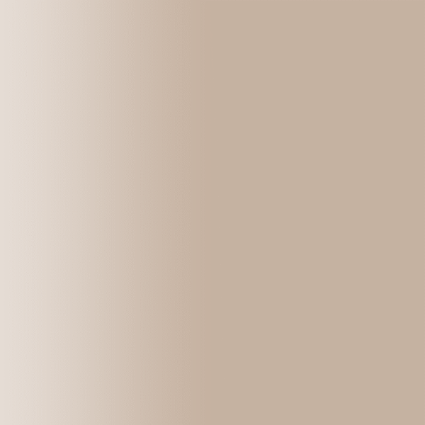 TOUCH UP PAINT PEN PORSCHE A1W STORMBEIGE 2001-05