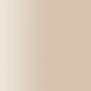 TOUCH UP PAINT PEN PORSCHE B1M HARVESTMOON BEIGE 2002-11