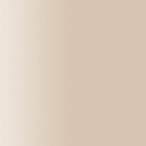 TOUCH UP PAINT PEN PORSCHE B1M HARVESTMOON BEIGE 2002-11