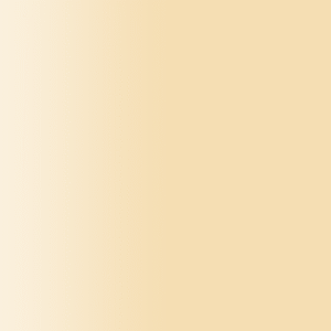 TOUCH UP PAINT PEN PORSCHE D1W WHEAT BEIGE 2002-09