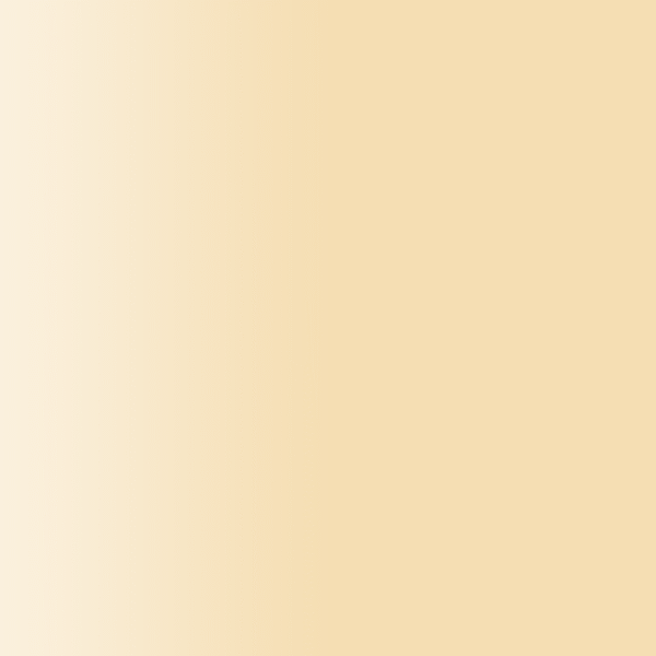 TOUCH UP PAINT PEN PORSCHE D1W WHEAT BEIGE 2002-09