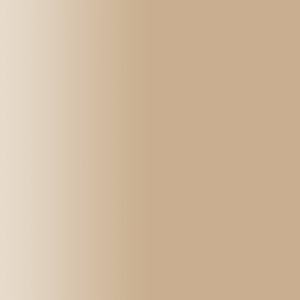 TOUCH UP PAINT PEN PORSCHE R111 BRAUNBEIGE 2006-