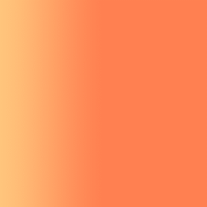TOUCH UP PAINT PEN PORSCHE B2A SUNDOWN ORANGE 2002-05