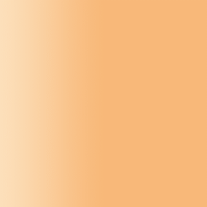 TOUCH UP PAINT PEN PORSCHE 27Q PASTELLORANGE 1990-