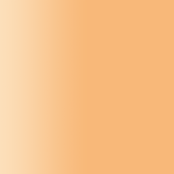 TOUCH UP PAINT PEN PORSCHE 27Q PASTELLORANGE 1990-