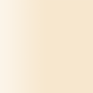 TOUCH UP PAINT PEN PORSCHE 3CT 0B9 CHAMPAGNE  MAGNOLIA 1996-05