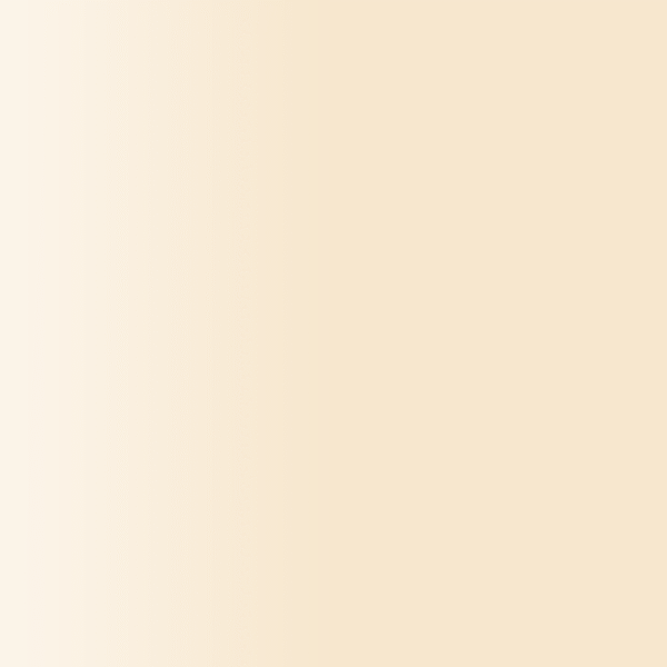 TOUCH UP PAINT PEN PORSCHE 3CT 0B9 CHAMPAGNE  MAGNOLIA 1996-05