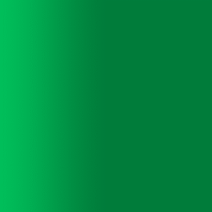TOUCH UP PAINT PEN PORSCHE 2M8 ACIDGREEN 2013