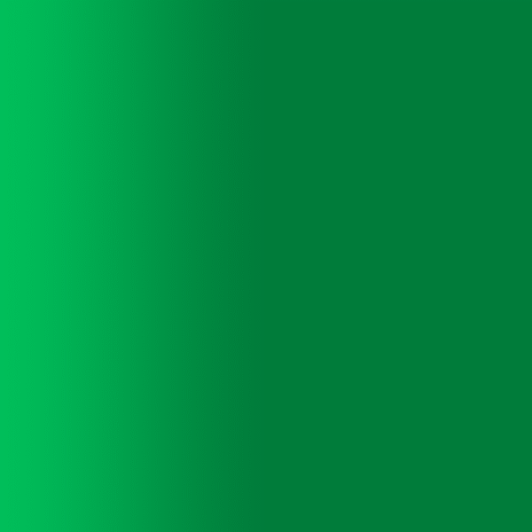 TOUCH UP PAINT PEN PORSCHE 2M8 ACIDGREEN 2013