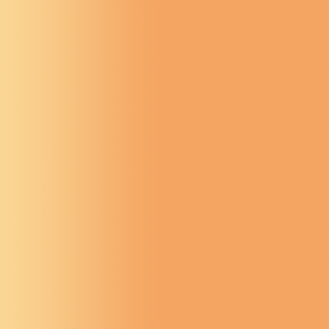 TOUCH UP PAINT PEN PORSCHE M1C SANDGELB 2010-12