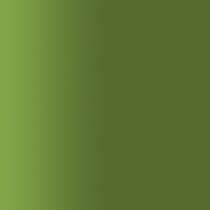 TOUCH UP PAINT PEN PORSCHE M6D OLIVE NEO 2023-