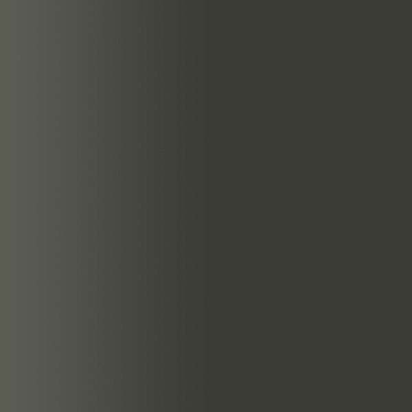 TOUCH UP PAINT PEN PORSCHE 2A7 BLACK OLIVE 2022-