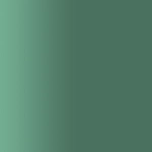 TOUCH UP PAINT PEN PORSCHE M6W LAGOGRUEN 2002-07