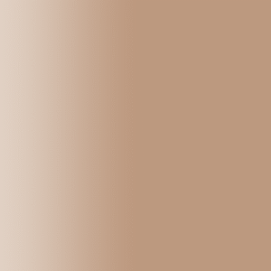 TOUCH UP PAINT PEN PORSCHE H8U BRONZEBEIGE 1984-85
