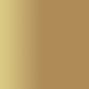 TOUCH UP PAINT PEN PORSCHE P3V COLORADO 1982-85