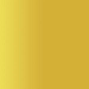 TOUCH UP PAINT PEN PORSCHE E1V GOLD 1988-90