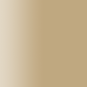 TOUCH UP PAINT PEN PORSCHE M1T LUXORBEIGE 2010