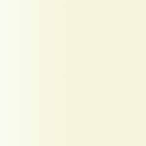 TOUCH UP PAINT PEN PORSCHE 539 BEIGE 1984-89