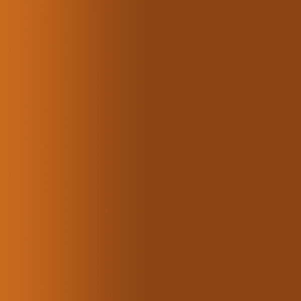 TOUCH UP PAINT PEN PORSCHE 40T HERBST BRAUN 1993-95