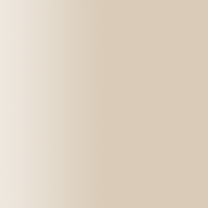 TOUCH UP PAINT PEN PORSCHE M1W JARAMABEIGE 2003-10