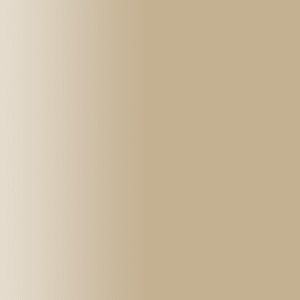 TOUCH UP PAINT PEN PORSCHE A1Y KALAHARI BEIGE 1985-92