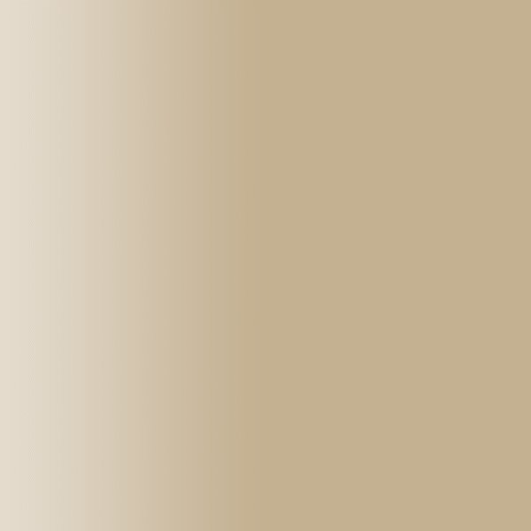 TOUCH UP PAINT PEN PORSCHE A1Y KALAHARI BEIGE 1985-92