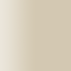 TOUCH UP PAINT PEN PORSCHE 655 PLATINBEIGE 1981-87