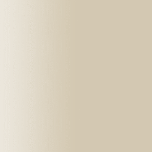 TOUCH UP PAINT PEN PORSCHE 655 PLATINBEIGE 1981-87