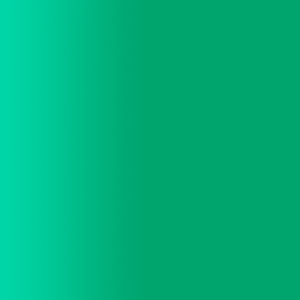 TOUCH UP PAINT PEN PORSCHE N6V JADEGRUEN 1985-86