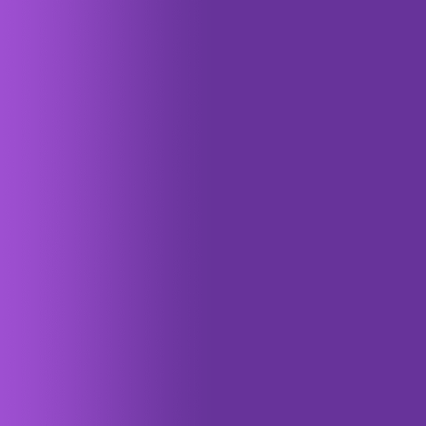 TOUCH UP PAINT PEN PORSCHE 39H DUNKELAMETHYST 1992-97