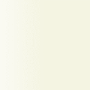 TOUCH UP PAINT PEN PORSCHE R9A SANDWEISS 2002-13