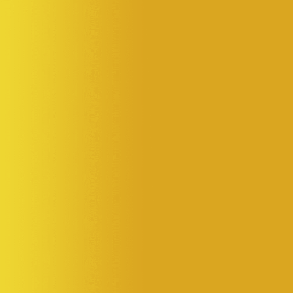 TOUCH UP PAINT PEN PORSCHE 0Z1 NEODYME GOLD 2022-